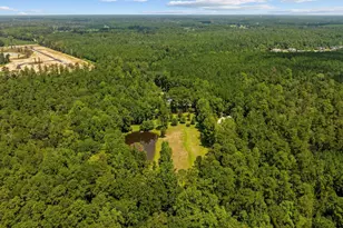 3750 Hwy 813, Conway, SC 29526 - Photo 59