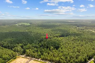 3750 Hwy 813, Conway, SC 29526 - Photo 61