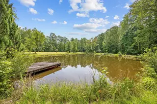 3750 Hwy 813, Conway, SC 29526 - Photo 41