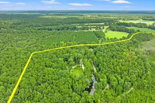 3124 Doodlebug Pl, Marion, SC 29571 - Photo 39