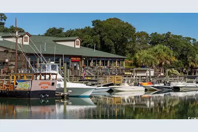 305 Skyward St., Myrtle Beach, SC 29588 - Photo 31