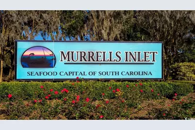 305 Skyward St., Myrtle Beach, SC 29588 - Photo 25