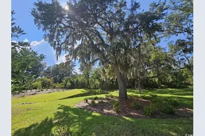 155 Harvest Gold Dr. #Lot 220, Conway, SC 29526 - Photo 25