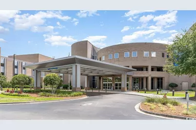 314 Honeystone St #Lot 131, Conway, SC 29526 - Photo 33