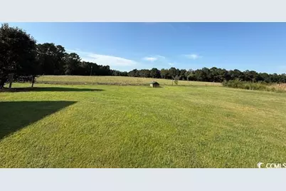 2851 Highway 984, Galivants Ferry, SC 29544 - Photo 7