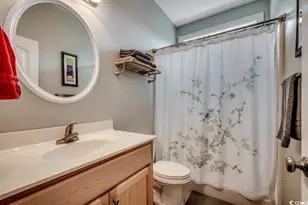 313 Basswood Ct, Conway, SC 29526 - Photo 21