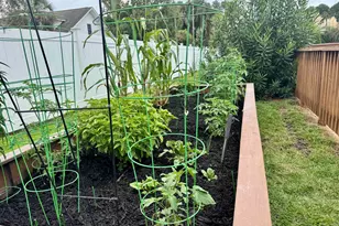 212 Duchess Ct, Myrtle Beach, SC 29588 - Photo 31