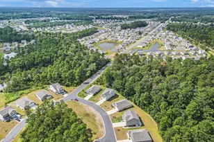 4005 Sweetspire Ct, Conway, SC 29526 - Photo 29