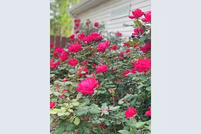 2459 Hunters Trail, Myrtle Beach, SC 29588 - Photo 33