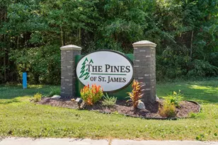 8069 Resin Rd, Murrells Inlet, SC 29576 - Photo 39