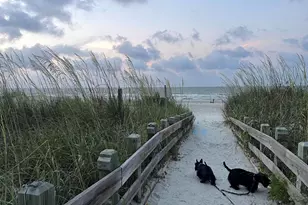 2001 S Ocean Blvd, Myrtle Beach, SC 29577 - Photo 23