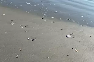 1500 Cenith Dr Cenith Dr, North Myrtle Beach, SC 29582 - Photo 39