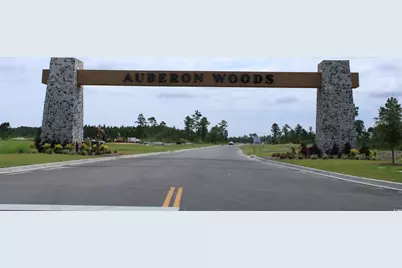 5103 Yellowstone Dr., Conway, SC 29526 - Photo 25