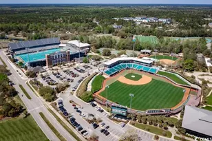 391 Myrtle Mdws Dr, Conway, SC 29526 - Photo 17