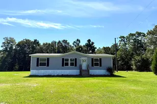 435 Alligator Ln, Andrews, SC 29510 - Photo 17