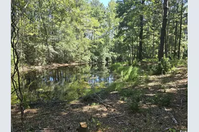 Tbd Allen Dew Rd., Conway, SC 29527 - Photo 3