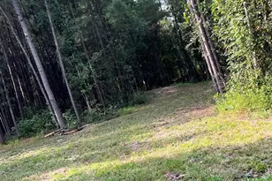 Tbd Oglethorpe Dr, Andrews, SC 29510 - Photo 1