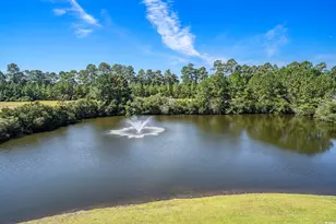 374 Kiskadee Loop, Conway, SC 29526 - Photo 25