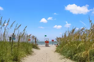 1113 Brackish Bay Rd, North Myrtle Beach, SC 29582 - Photo 25