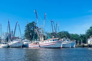 31 Haig Ct, Georgetown, SC 29440 - Photo 39