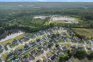 542 Irees Way, Longs, SC 29568 - Photo 33