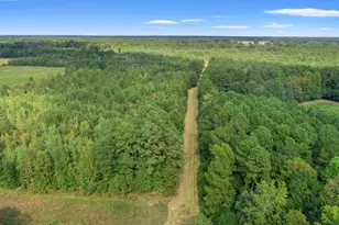 1217 Poplar Creek Rd, Lake View, SC 29563 - Photo 27