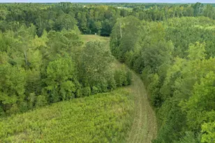 1217 Poplar Creek Rd, Lake View, SC 29563 - Photo 31