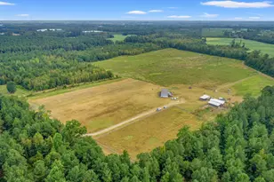 1217 Poplar Creek Rd, Lake View, SC 29563 - Photo 33