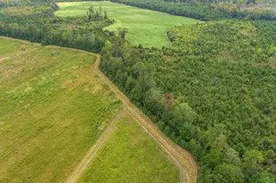 1217 Poplar Creek Rd, Lake View, SC 29563 - Photo 35