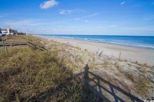 486 Lantana Cir, Georgetown, SC 29440 - Photo 41