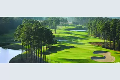 1031 Clamour Ct., Conway, SC 29526 - Photo 7