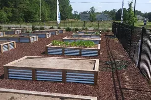 1099 Tibetan St, Conway, SC 29526 - Photo 21