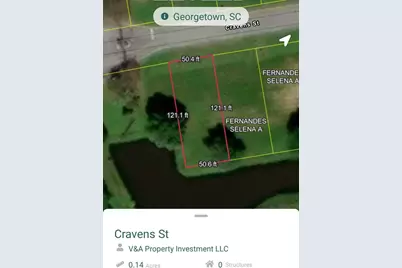 Lot 1 Cravens St., Georgetown, SC 29440 - Photo 21