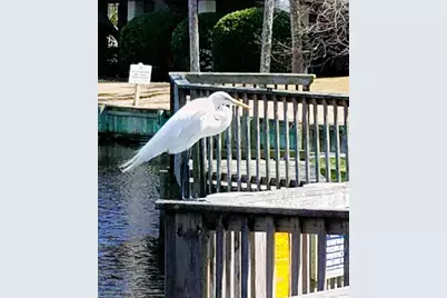 601 Retreat Beach Circle #422, Pawleys Island, SC 29585 - Photo 39