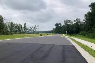 169 River Birch Dr, Loris, SC 29569 - Photo 9