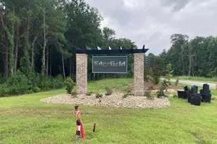 169 River Birch Dr, Loris, SC 29569 - Photo 31