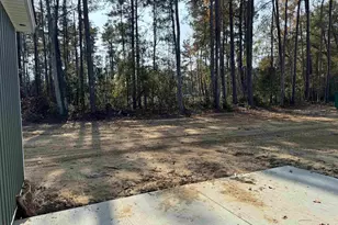 409 St John Rd, Aynor, SC 29511 - Photo 19