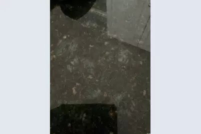 1672 Ursa Minor Dr., Myrtle Beach, SC 29588 - Photo 13