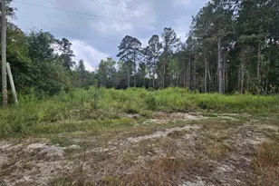 Monument Ct, Marion, SC 29571 - Photo 1