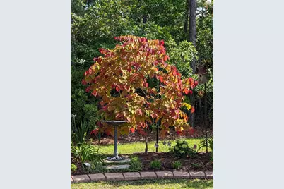 5618 Lombardia Circle, Myrtle Beach, SC 29579 - Photo 31