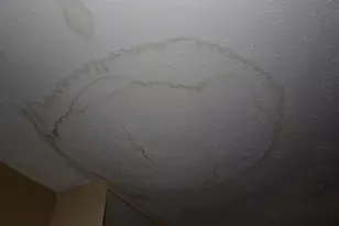 308 71st Ave N, Myrtle Beach, SC 29572 - Photo 23