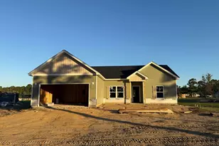 284 Lexyryan Ct, Latta, SC 29565 - Photo 1