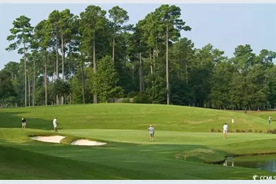 3040 Gadwall Dr., Aynor, SC 29511 - Photo 27