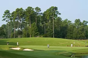 3040 Gadwall Dr, Aynor, SC 29511 - Photo 27