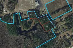 Lot 1 Juniper Bay Rd, Conway, SC 29527 - Photo 1