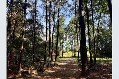 14.81 Acres-Tbd S Deerfield Rd., Johnsonville, SC 29555 - Photo 11