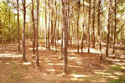 14.81 Acres-Tbd S Deerfield Rd., Johnsonville, SC 29555 - Photo 3