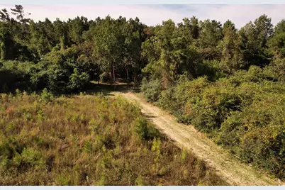 14.81 Acres-Tbd S Deerfield Rd., Johnsonville, SC 29555 - Photo 9