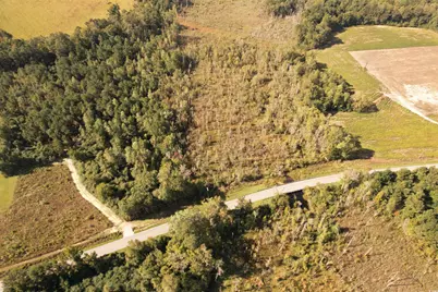 14.81 Acres-Tbd S Deerfield Rd., Johnsonville, SC 29555 - Photo 13