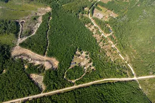 1087 M W Stroud Rd, Nichols, SC 29581 - Photo 33